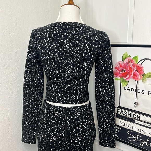 Alice & Olivia BNW Two Piece Skirt Set Size 0 & 2 - Picture 5 of 11